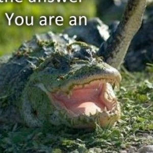 Meet your Posher, Paul